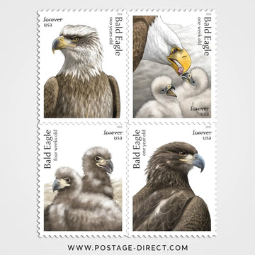 Bald Eagle: Hatchling to Adult Stamps