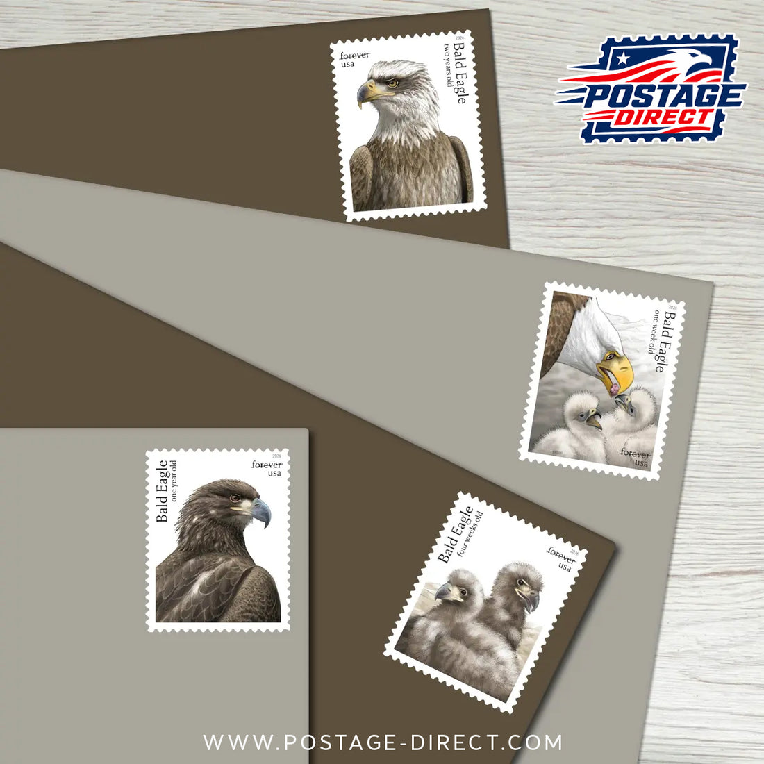 Bald Eagle: Hatchling to Adult Stamps