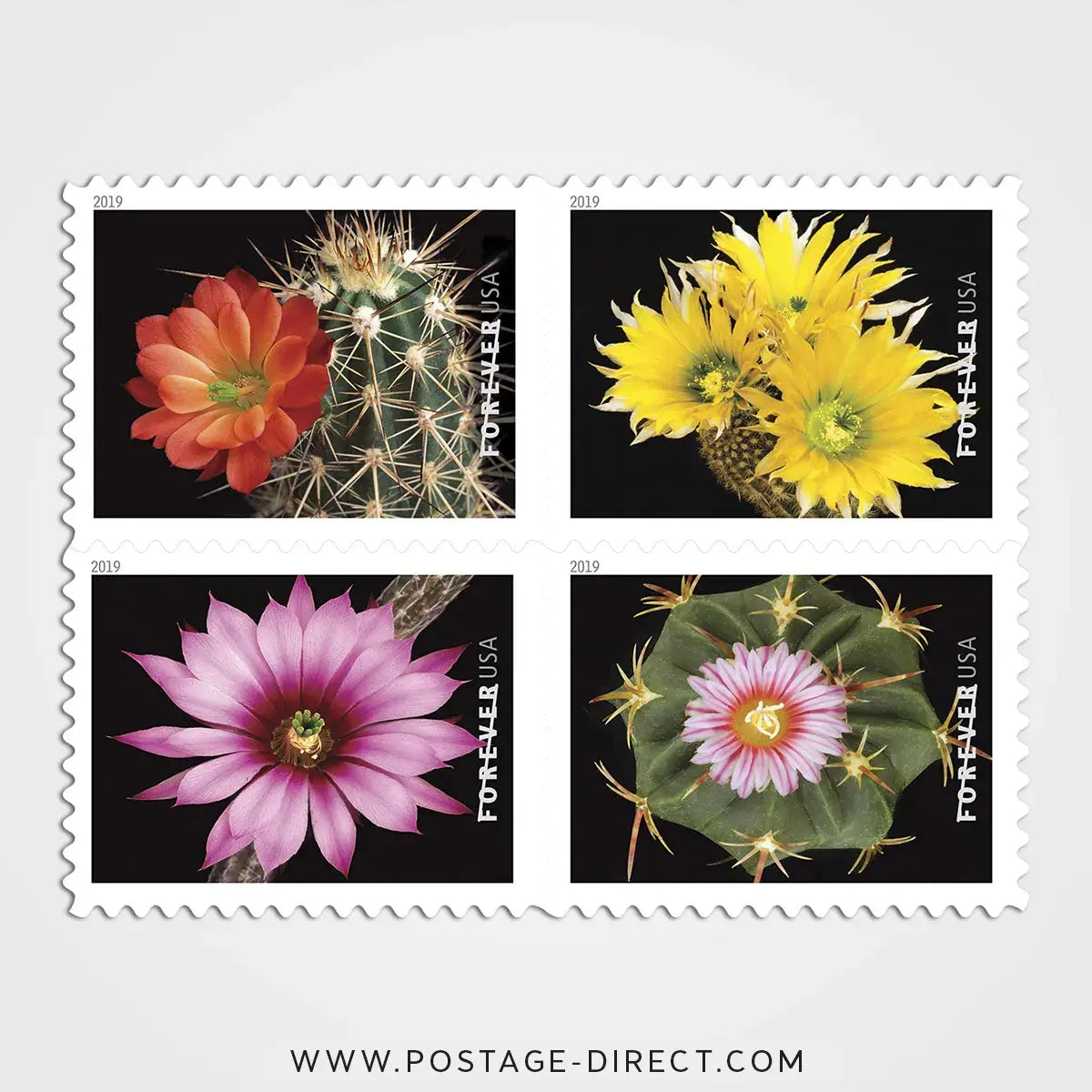 Cactus Flowers Stamps