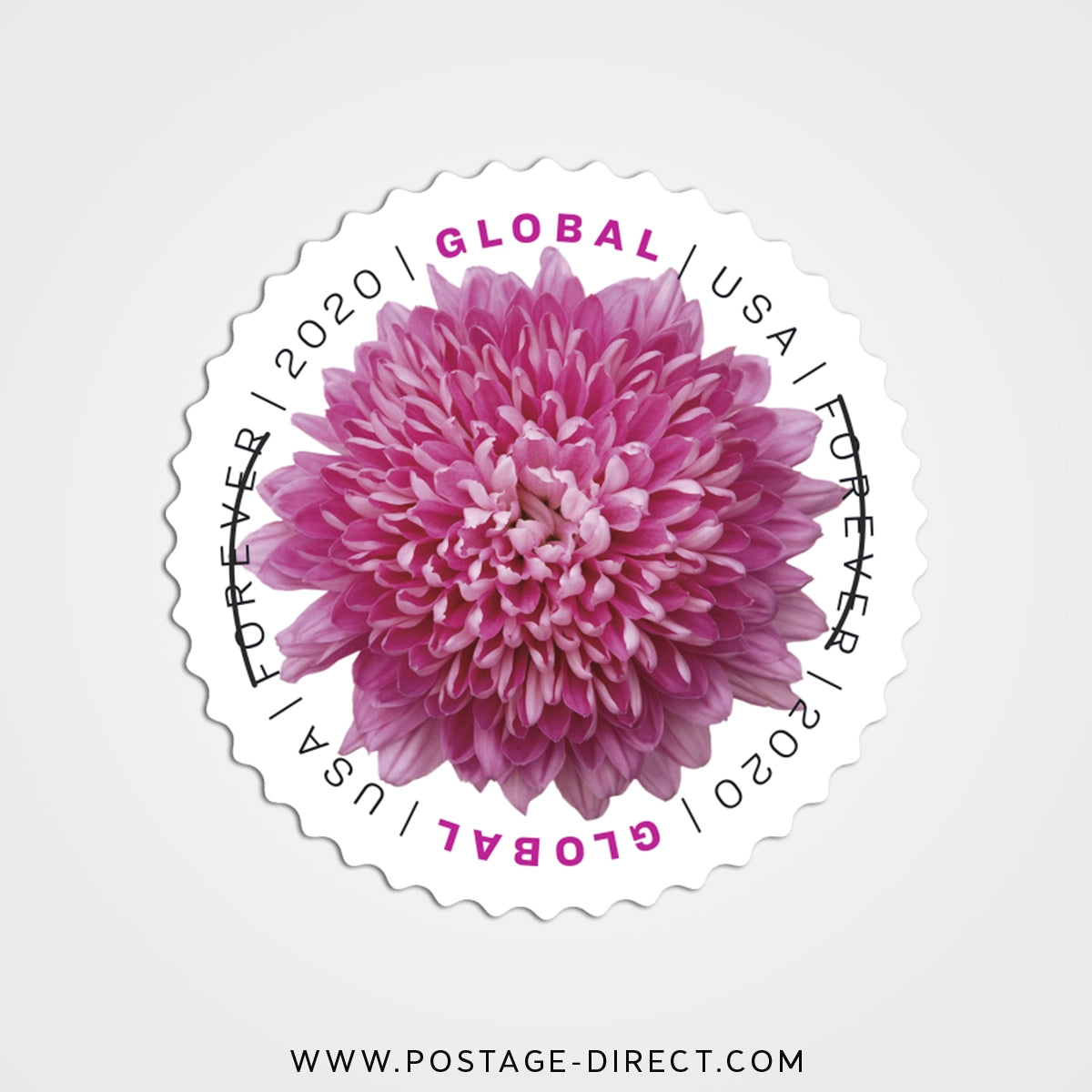 Chrysanthemum Global Stamps