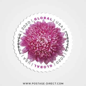 Chrysanthemum Global Stamps