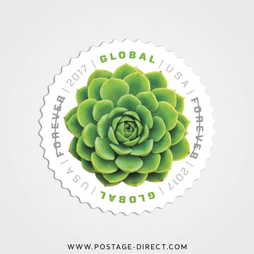 Green Succulent Global Stamps