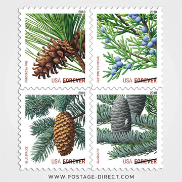 Holiday Evergreens Stamps