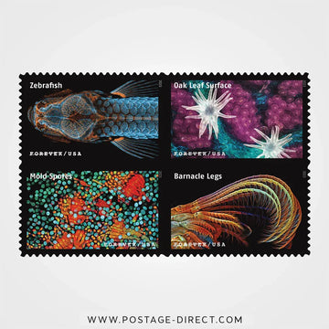 Life Magnified Stamps