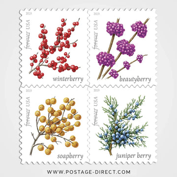 Winter Berries Stamps